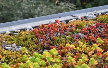 the cost of Upton Scudamore green roof installation