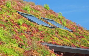 Upton Scudamore living roof systems