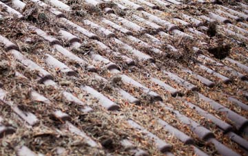 Upton Scudamore roof cleaning companies