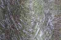 Upton Scudamore fibreglass roof work